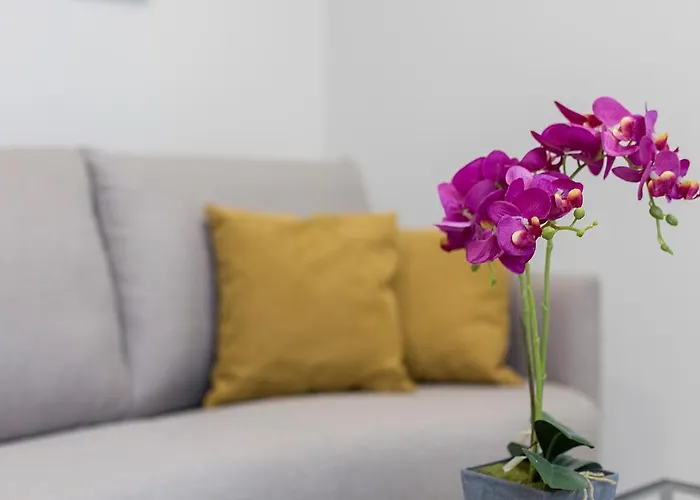 Lalasuites Corredera *